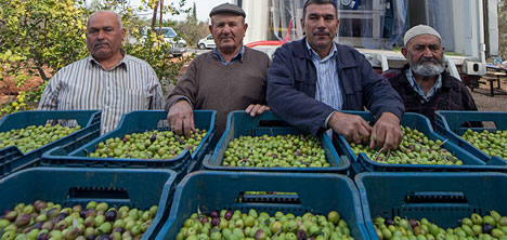 nar-gourmet,-anadolu-zeytinyaglari-projesi,5.jpg