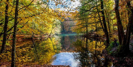 yedigoller,yenicaga-mengen-yazicik,2.jpg