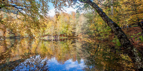 yedigoller,yenicaga-mengen-yazicik4.jpg